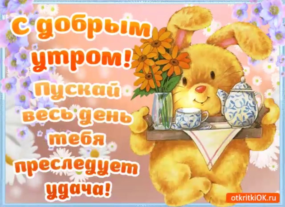 Прекрасного воскресенья и отличного настроения