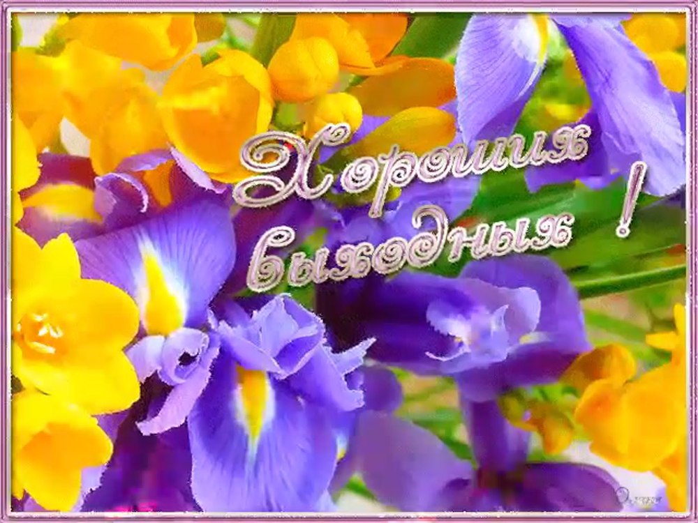 Хороших выходных