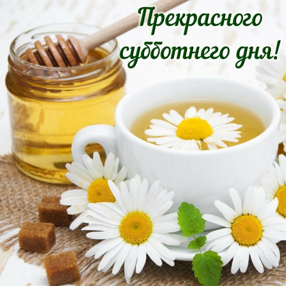 Открытки хорошего дня с мандаринами