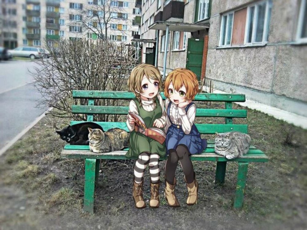 Аниме Реал лайф