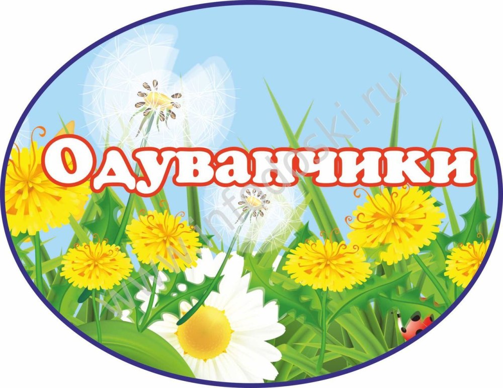 Группа солнышко
