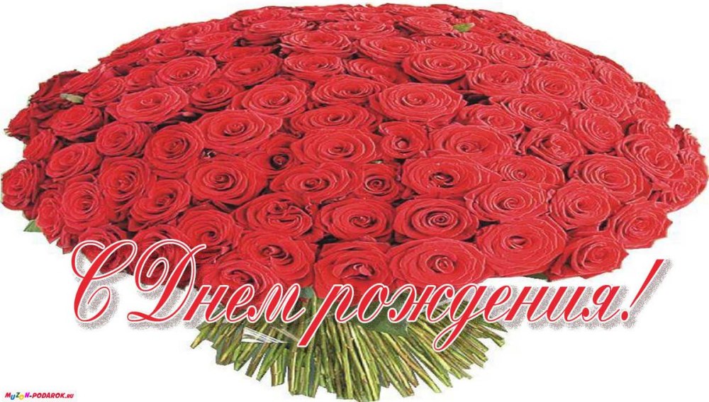 Букет роз с днем рождения