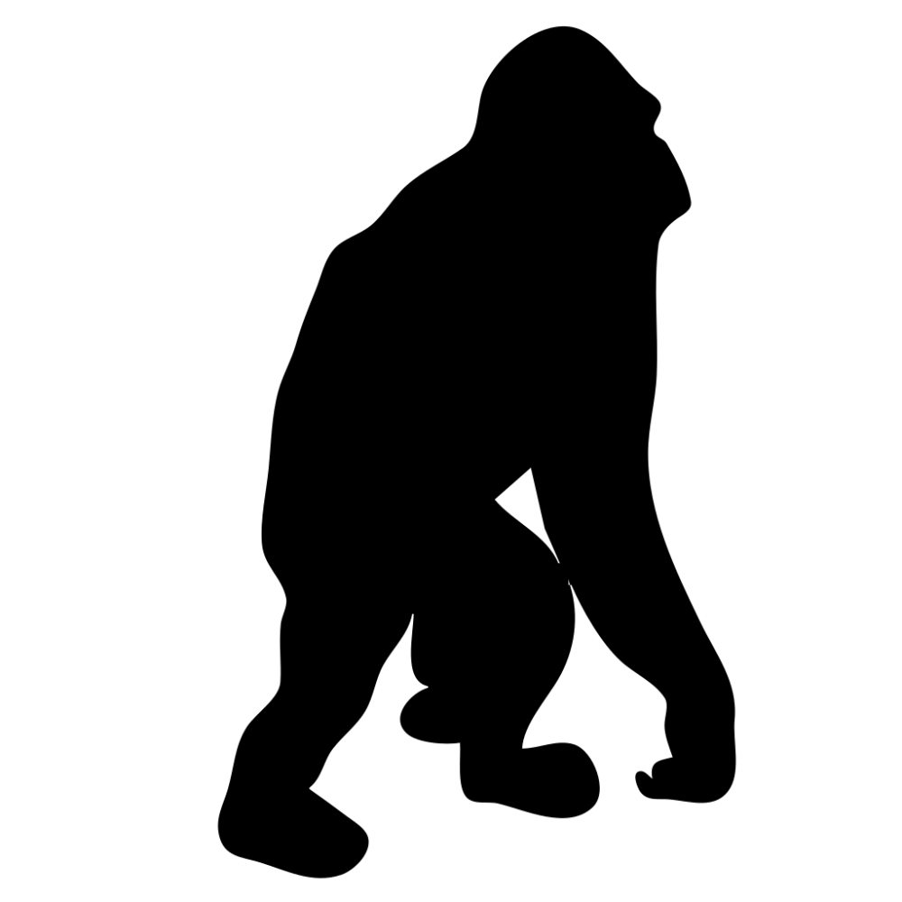 Злая горилла