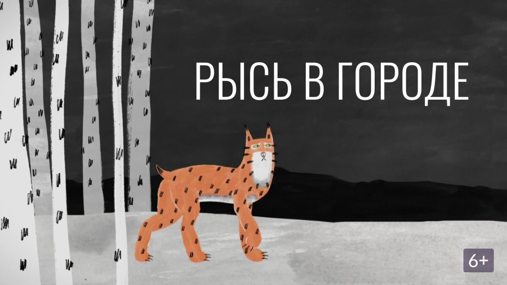 Рысь на белом фоне для детей