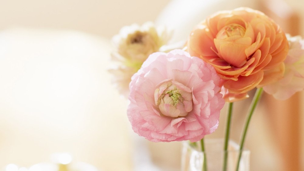 С днём рождения девушке стильно