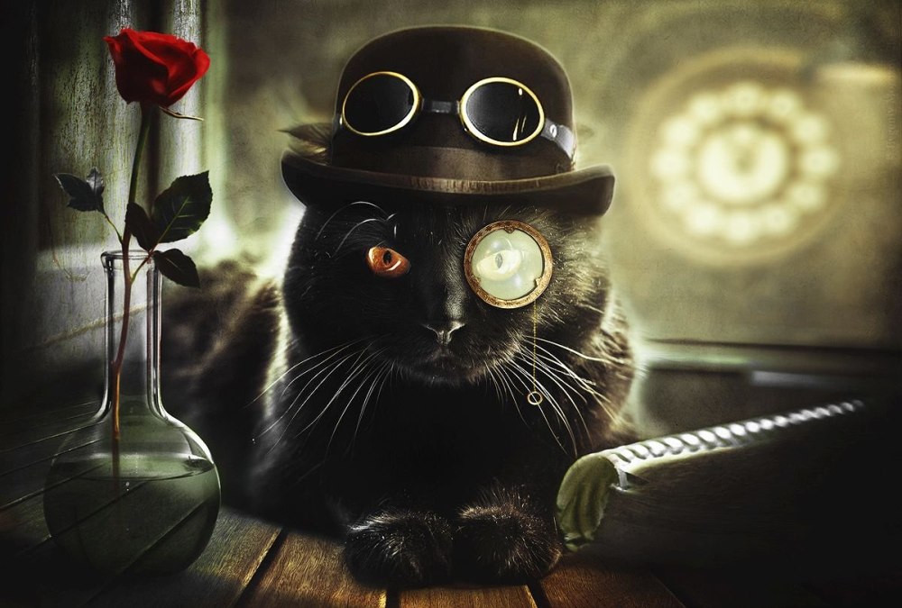 Кот джентльмен