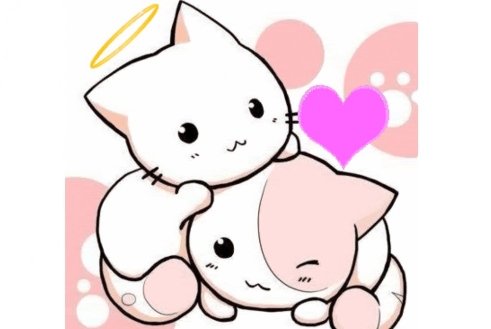 Кавайные котики