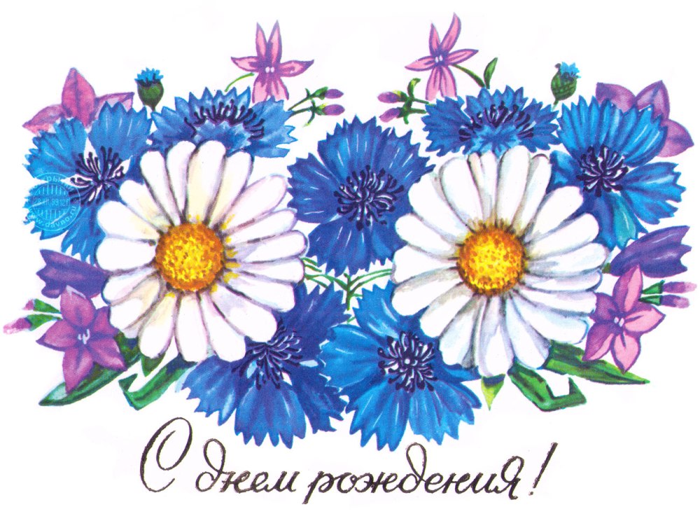 С днем рождения