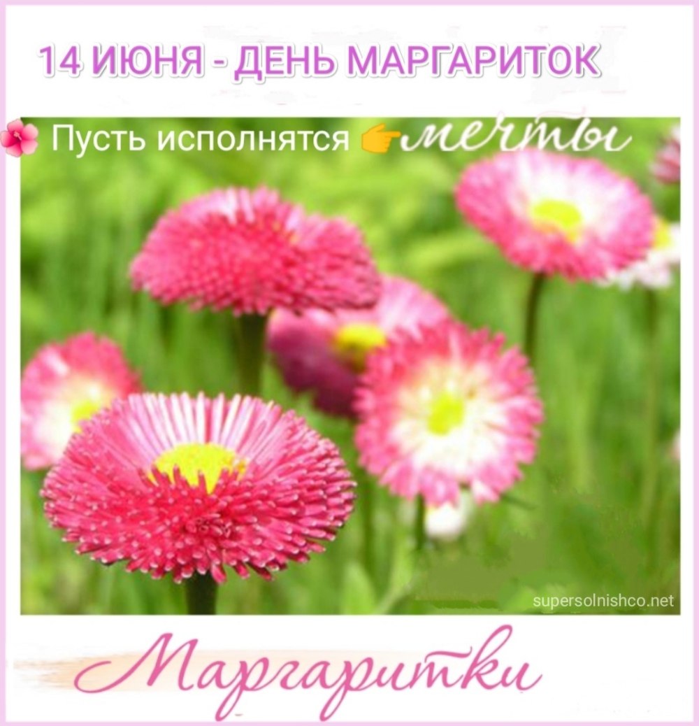 С днём рождения Маргаритка