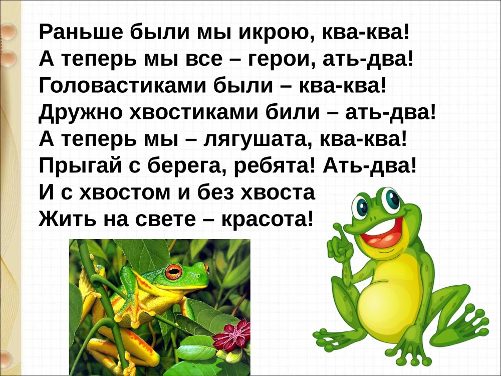 Жаба для детского сада