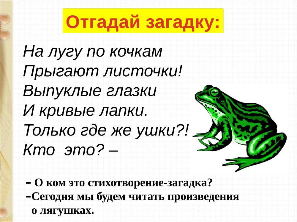 Лягушка для презентации
