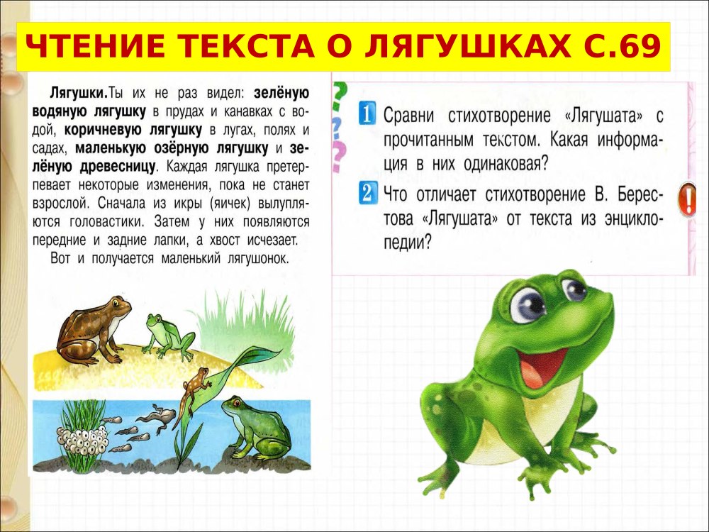 На болоте 2 лягушки две зеленые подружки