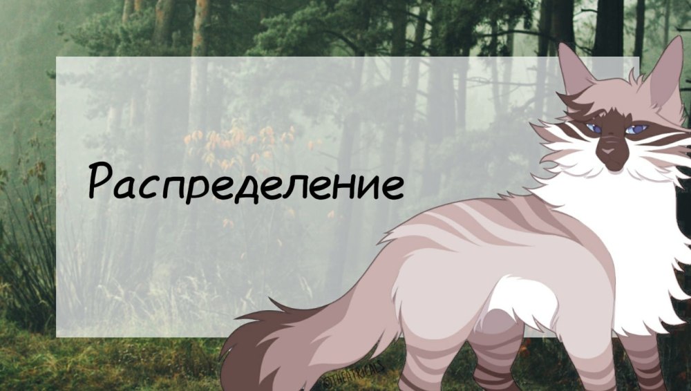 Коты Воители Ярохвост