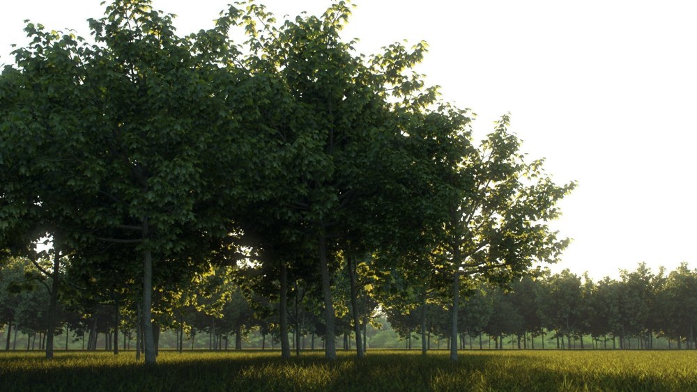 HDRI карта для 3д Макс