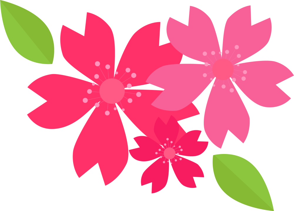 Sveti vector