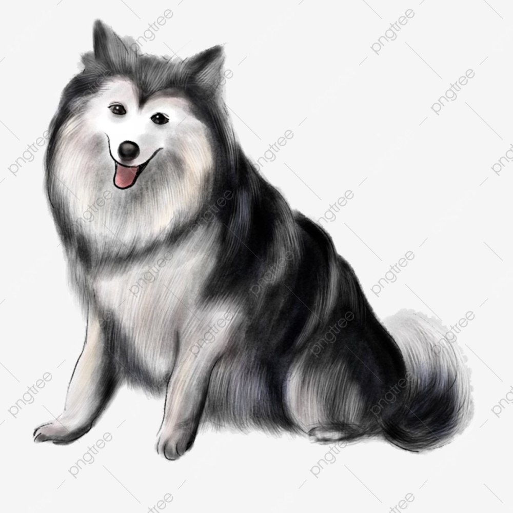 Аляскинский маламут