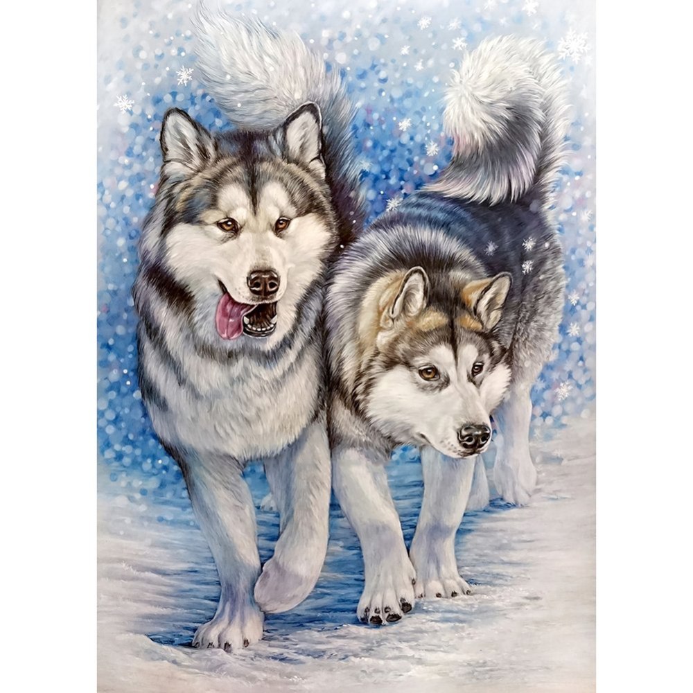 Аляскинский маламут рисунок