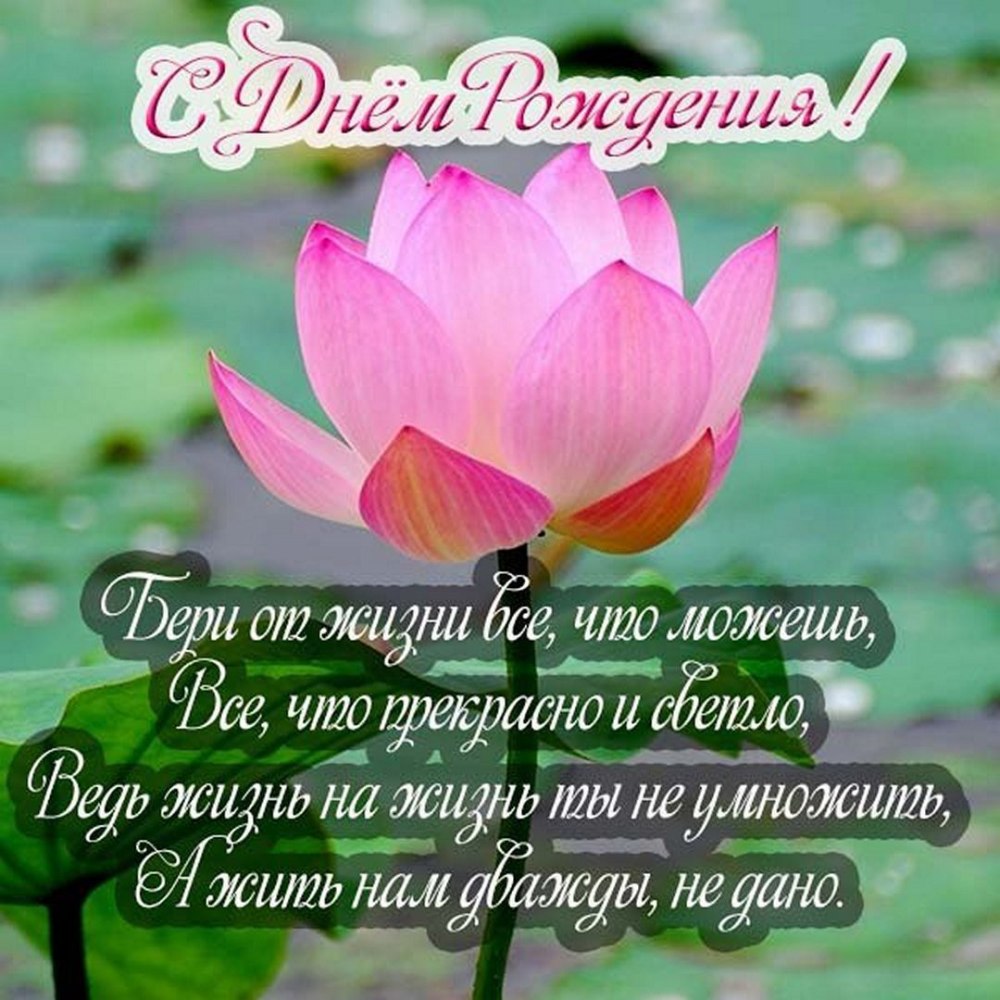 С днём рождения жлчери
