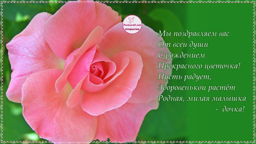 Нежные розы для любимой