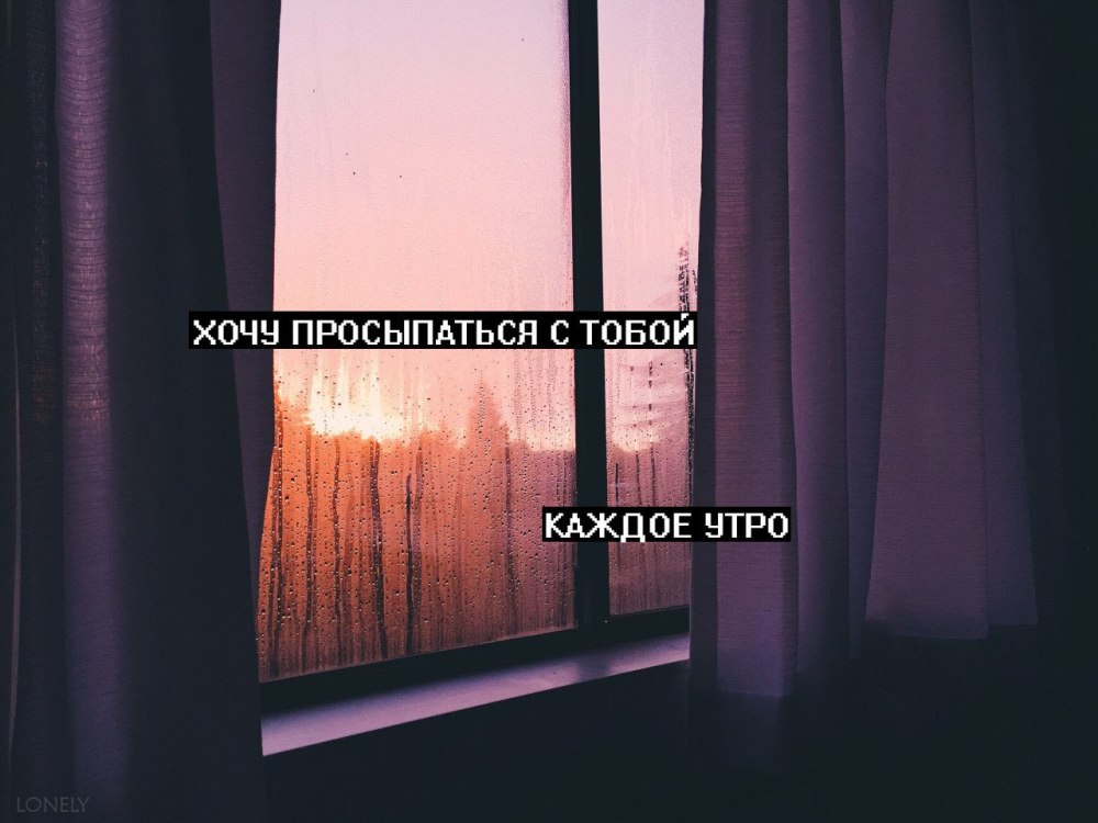 Голубь Мем