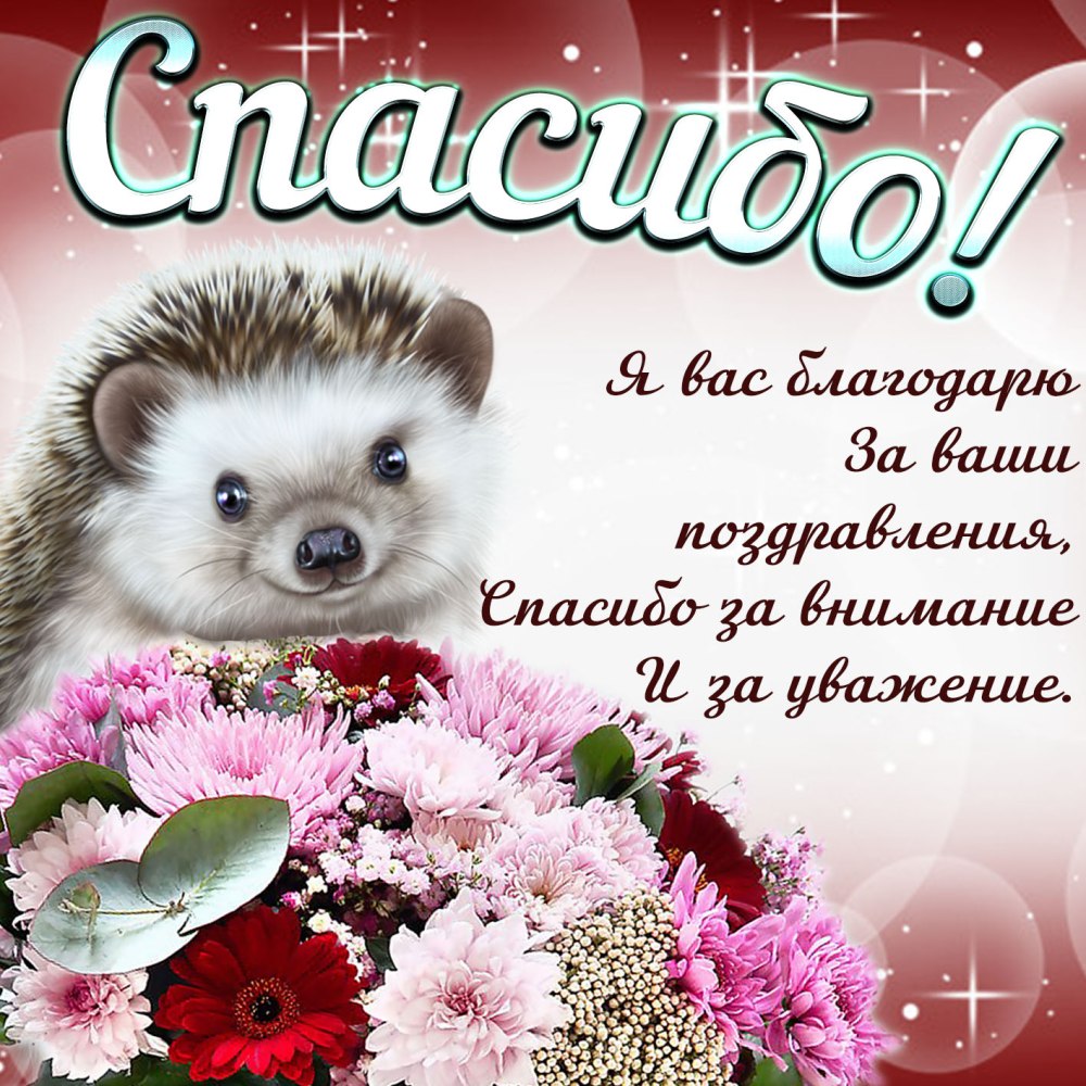 Спасибо за поздравления