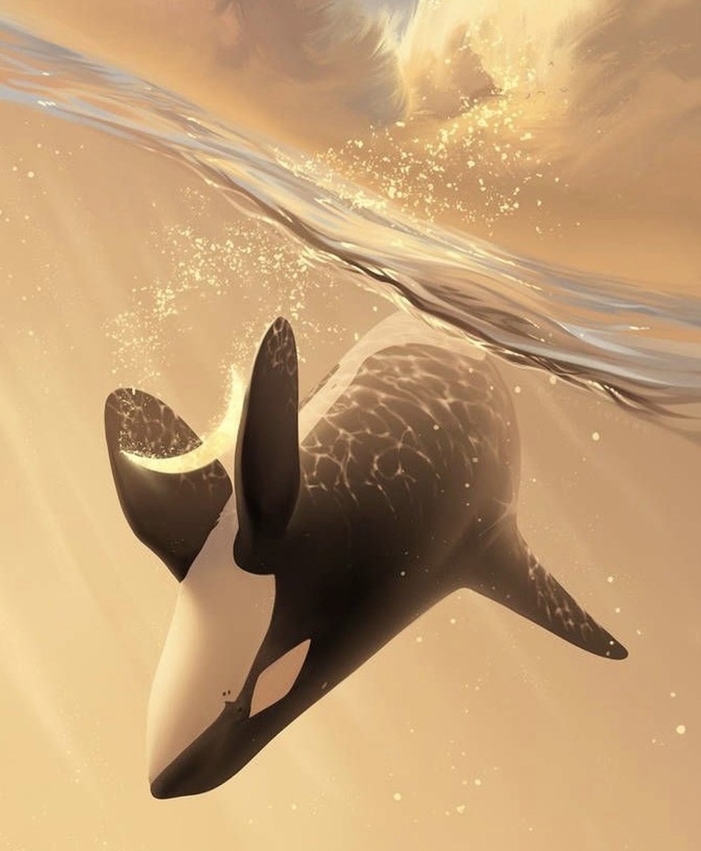 Orca арт