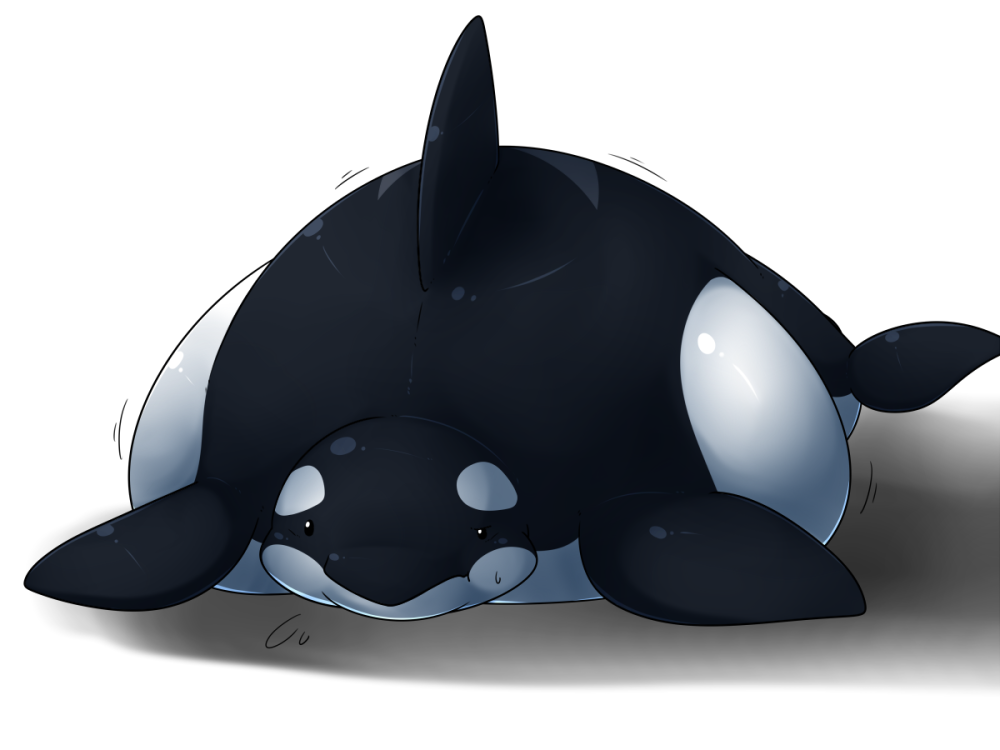 Косатка Orcinus Orca
