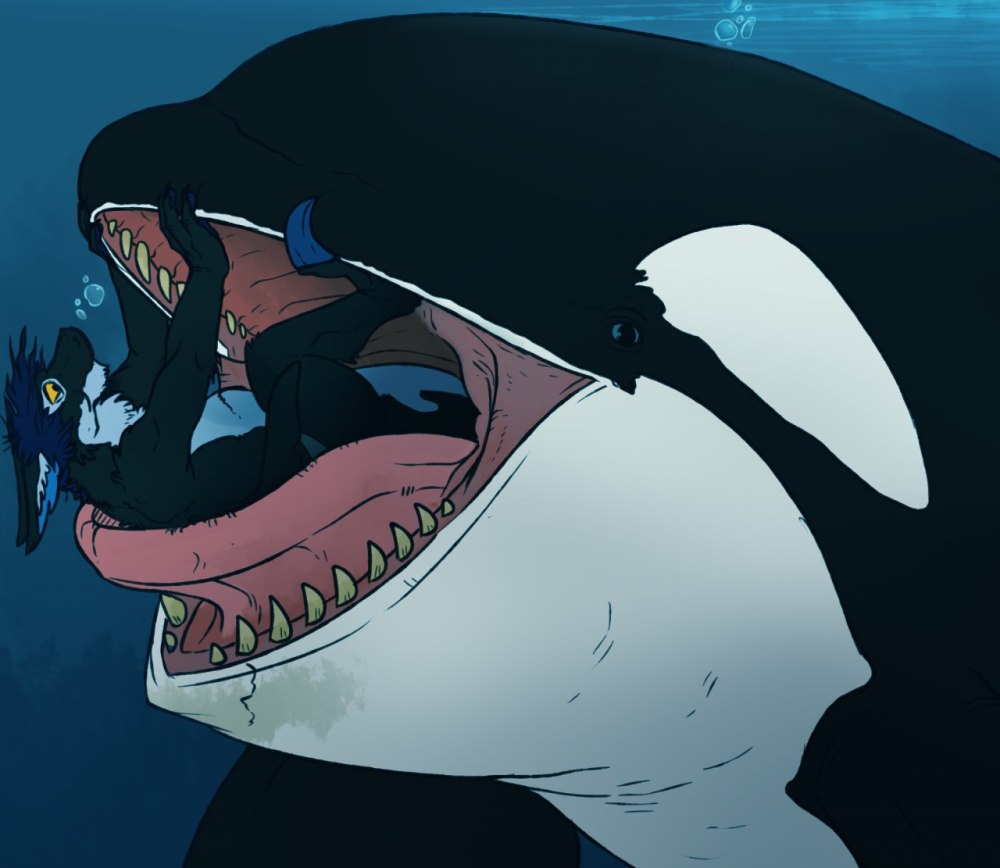 Дельфин Vore