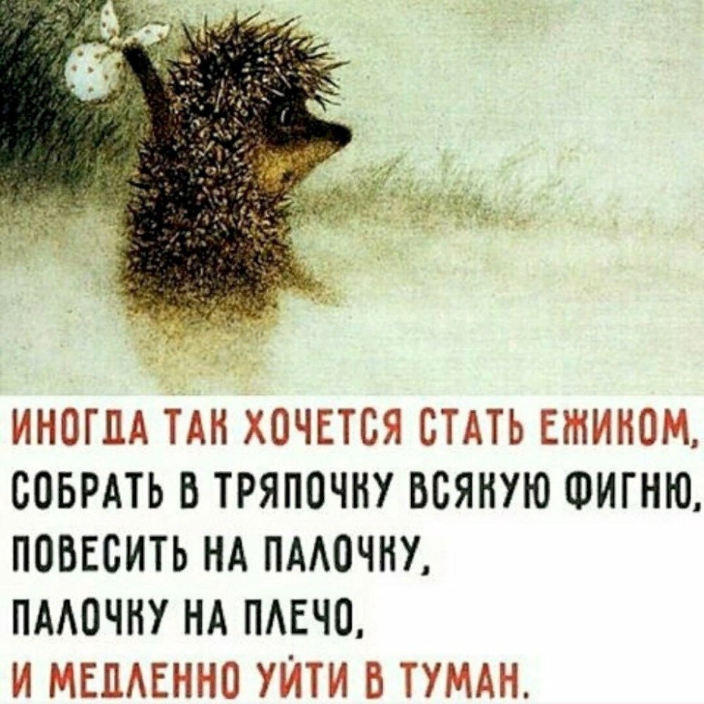 Ежик в тумане Франческа Ярбусова
