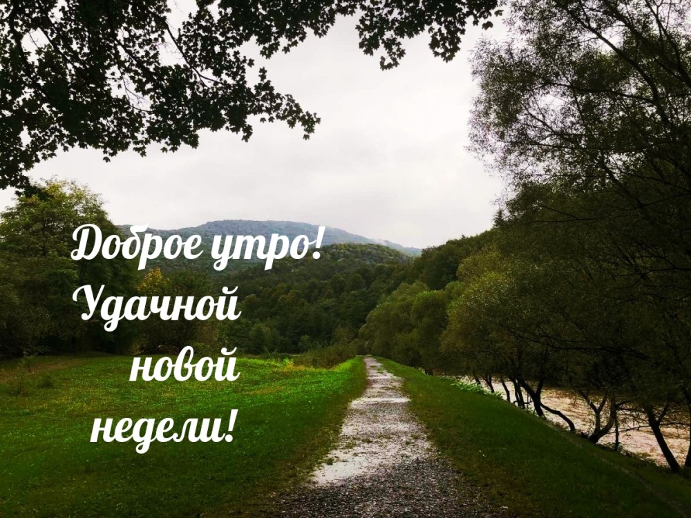 С новой неделей