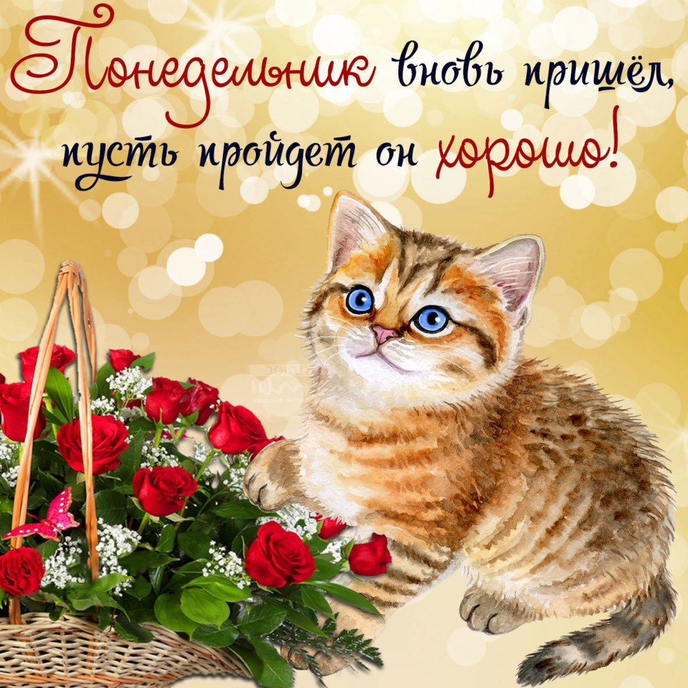 Стдньным утром понедельника