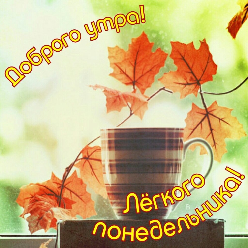 Пожелание доброго осеннего утра понедельника