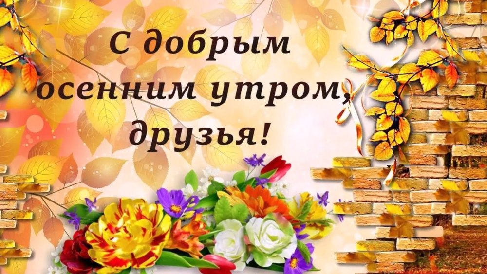 С добрым осенним утром вторника
