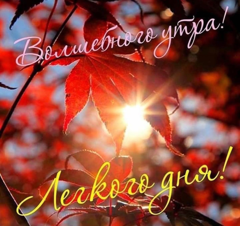 С добрым осенним утром