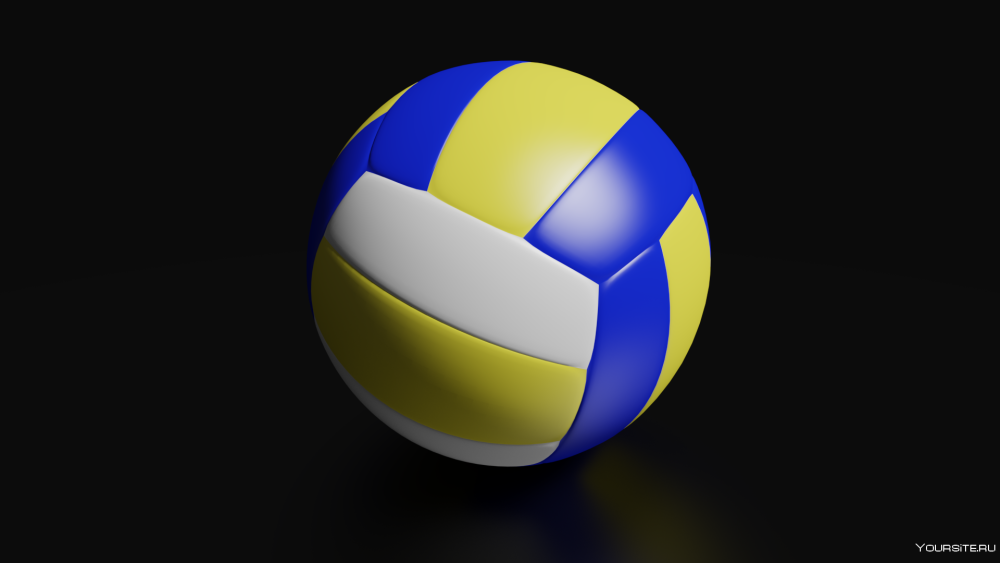 Mikasa Volleyball Ball