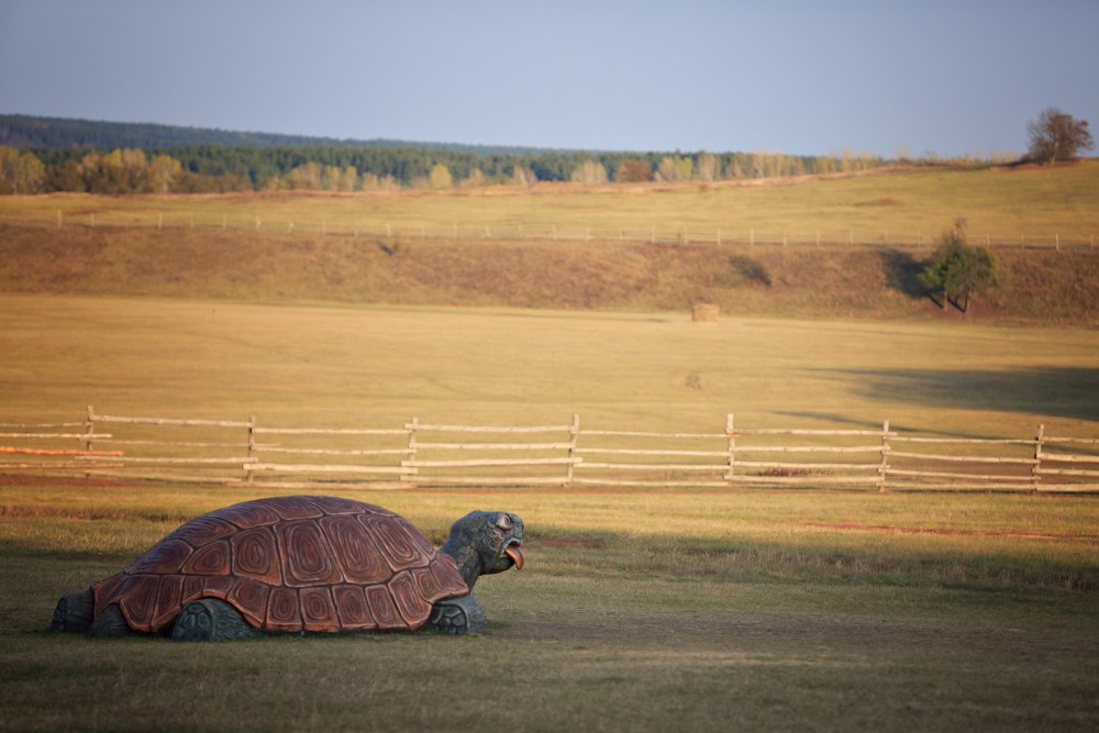 National Island: i build a Home on the back of a giant Turtle