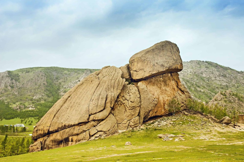 Камень черепаха Монголия
