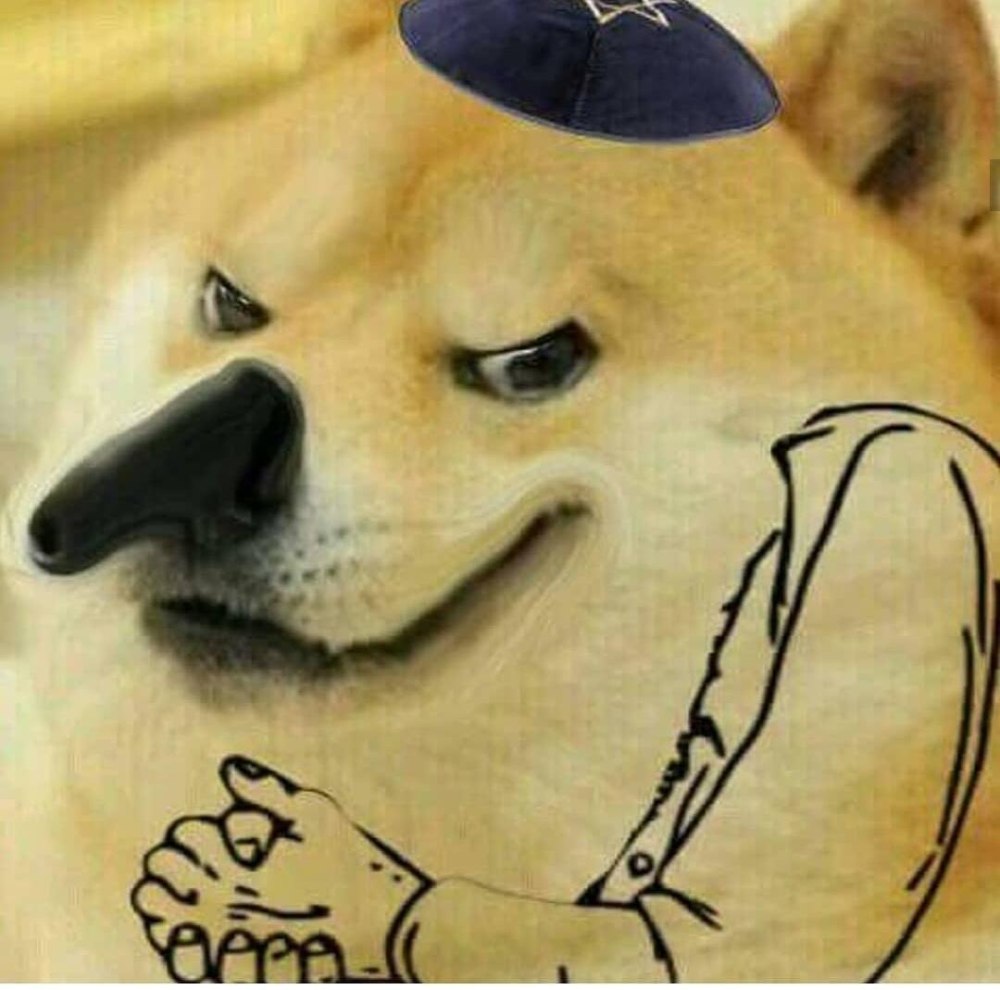 Злой Doge