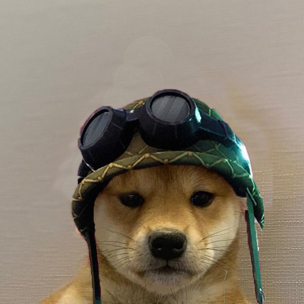 Dogwifhat Fortnite