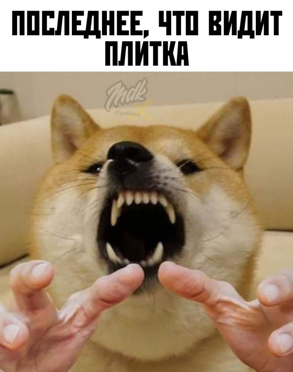 Грустный Doge