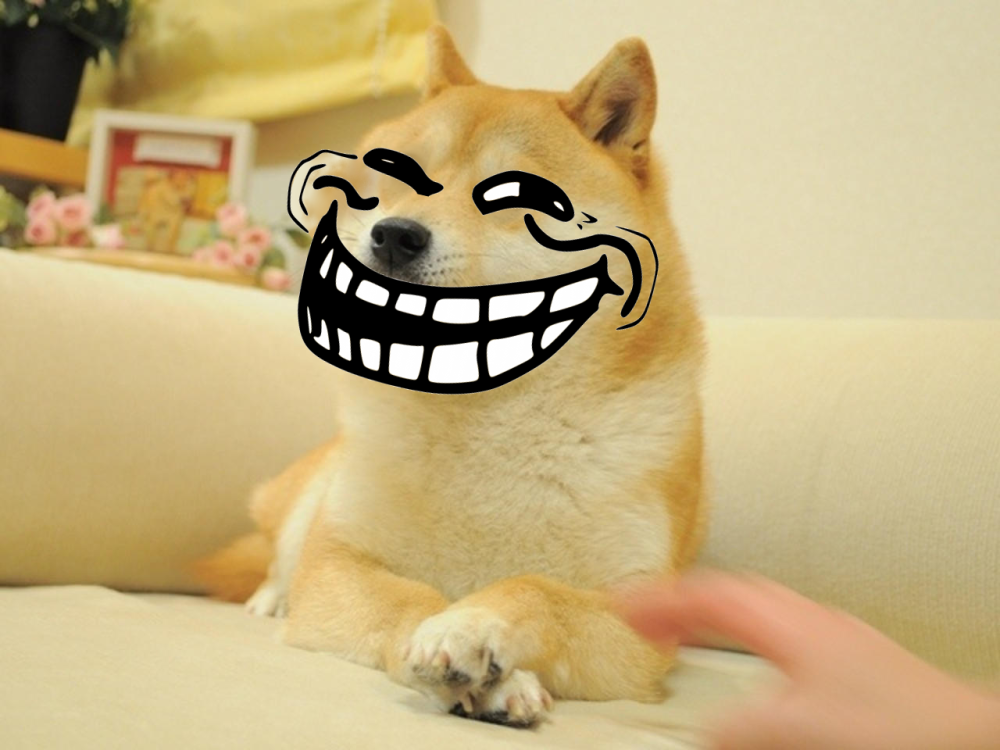Собака из мема Doge