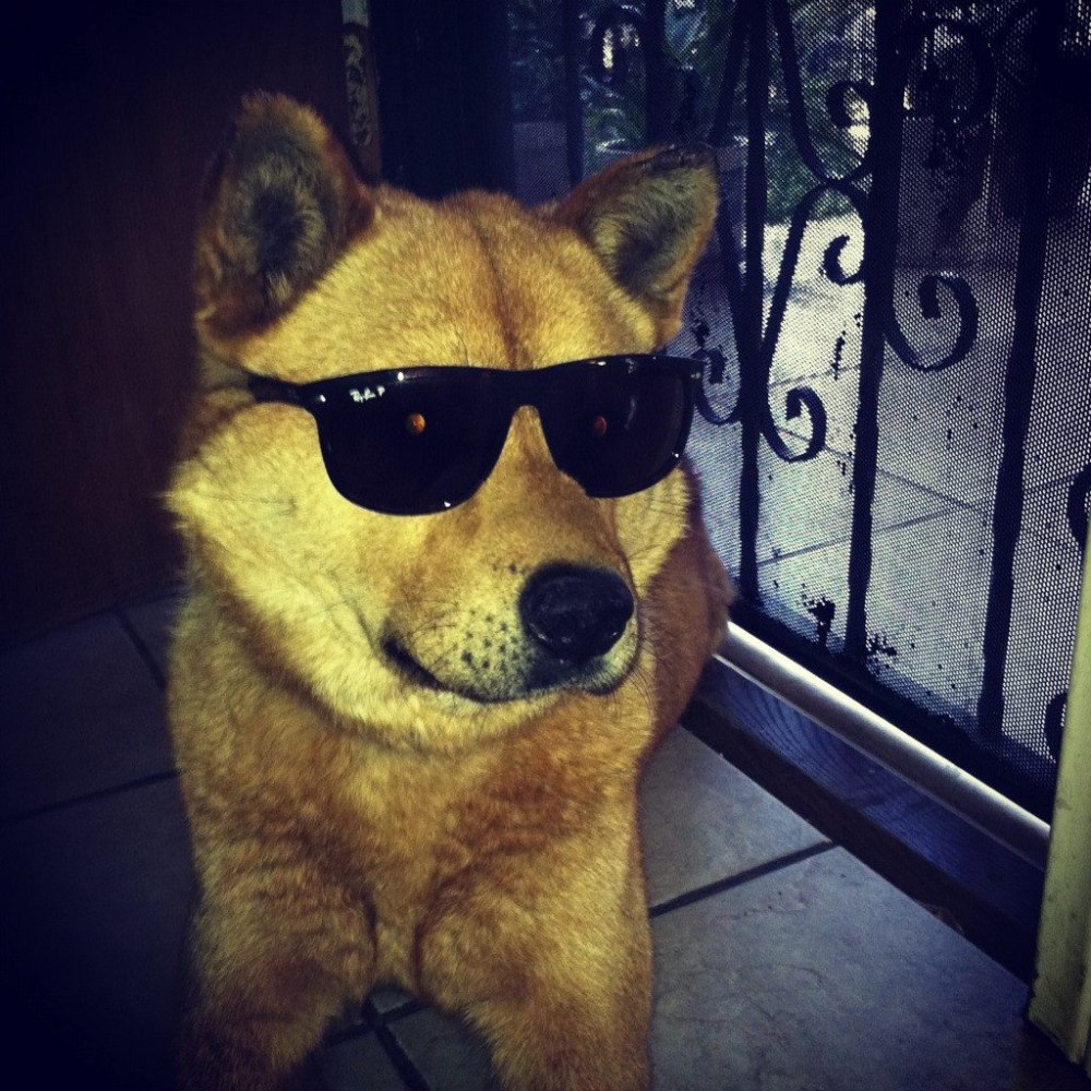 Доги Мем