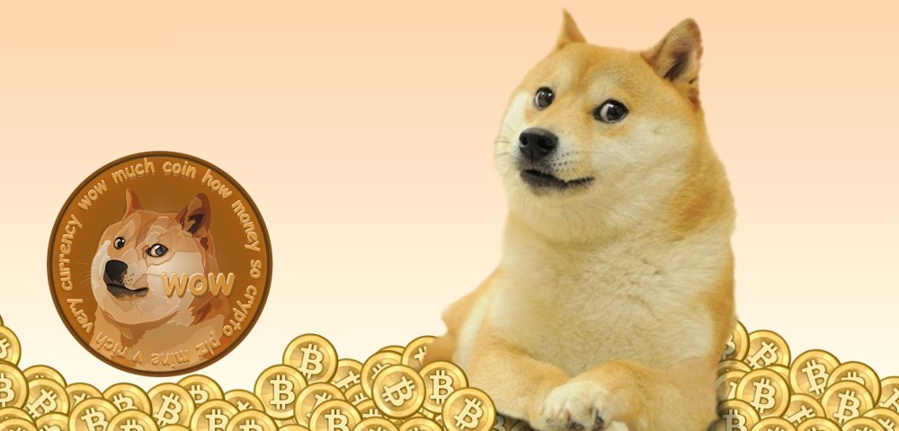 Голова Doge