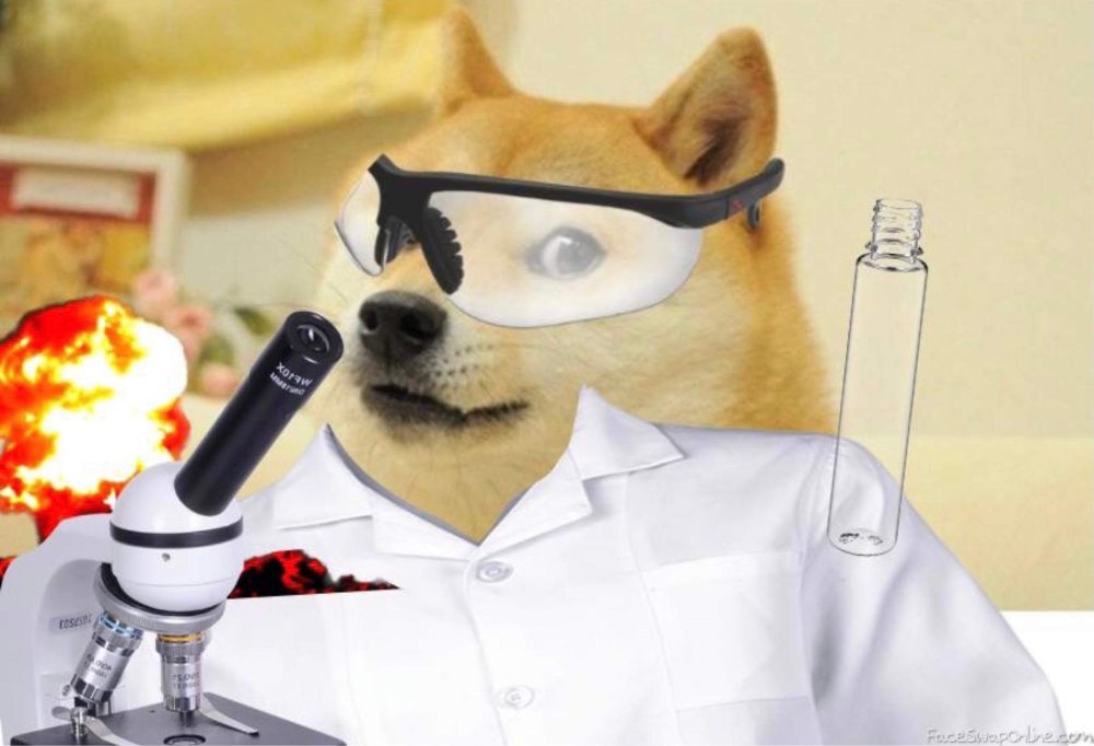 Doge учёный