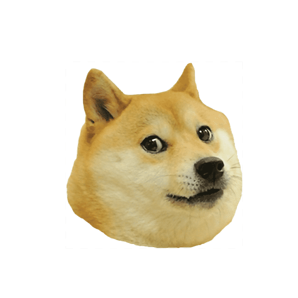 Сиба ину доги