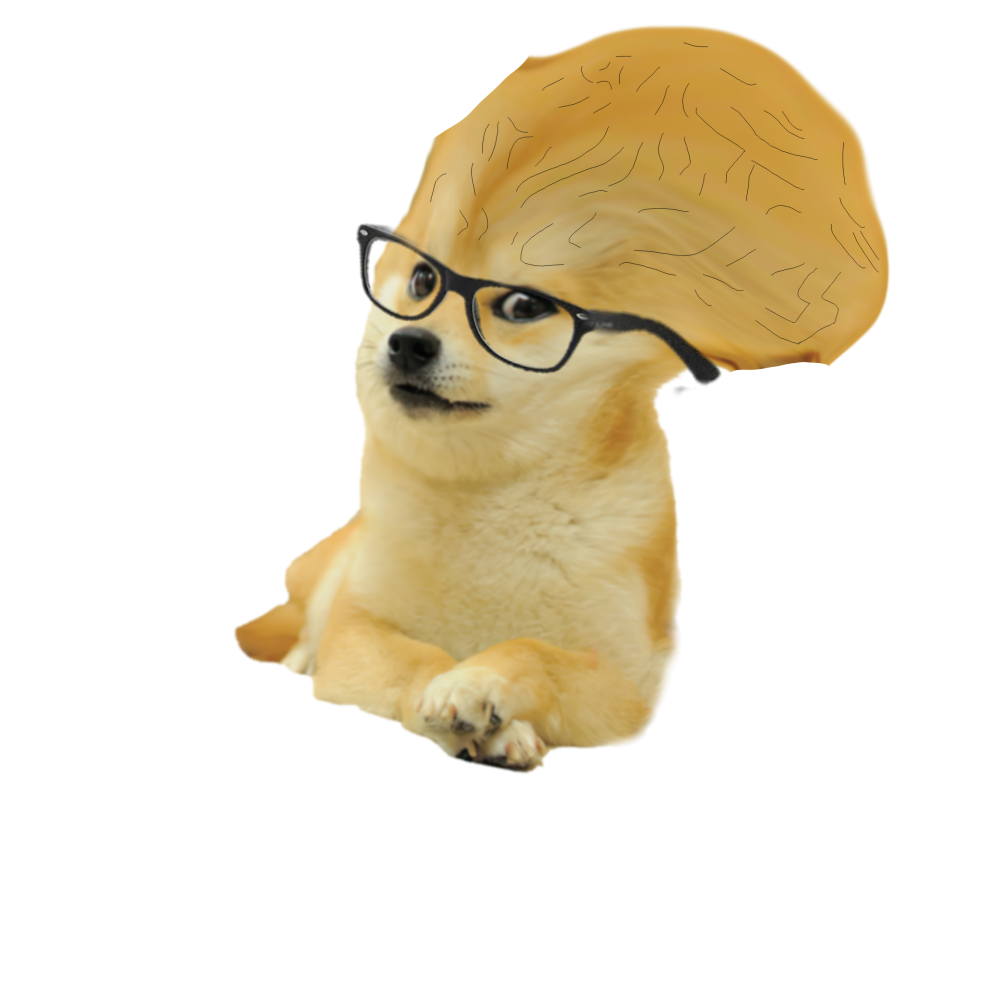 Doge meme очки