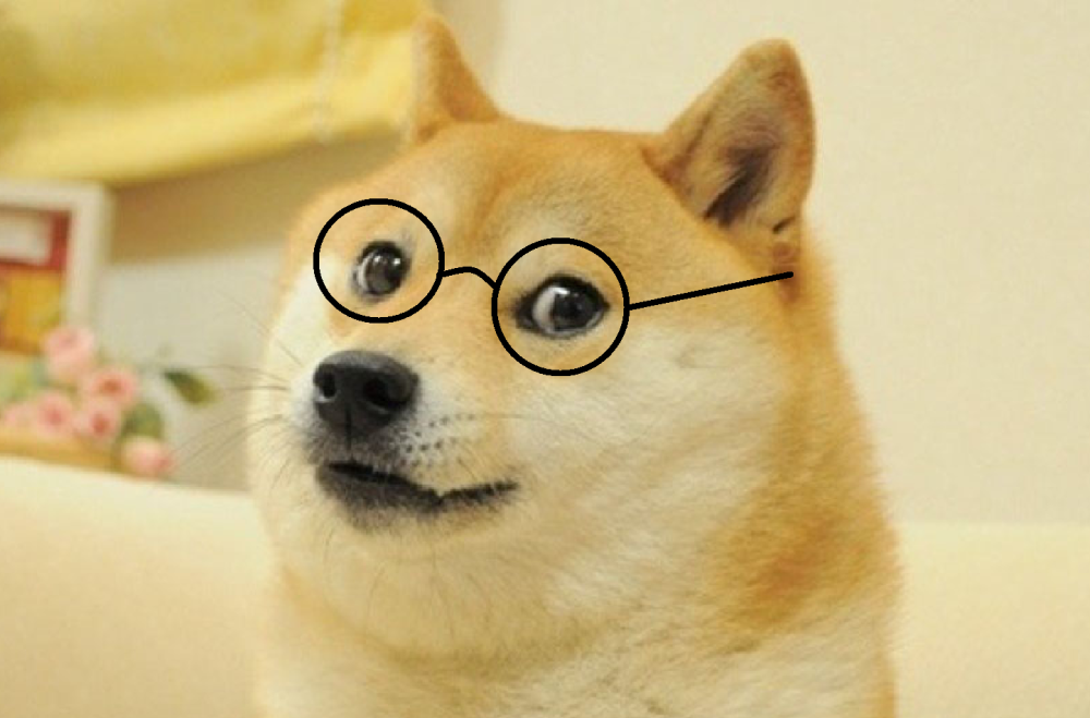 Doge в очках