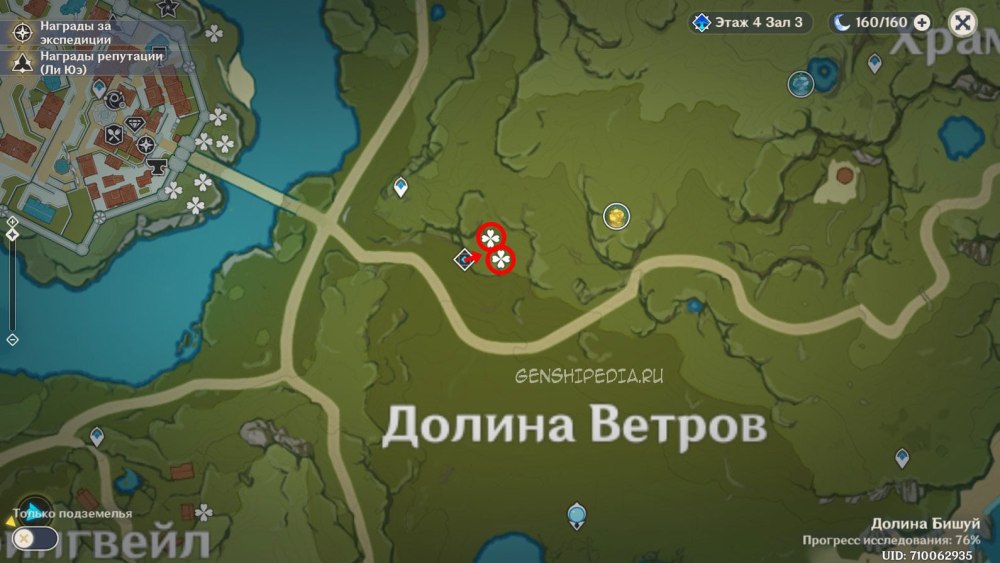 Одуванчиковое поле сорняк