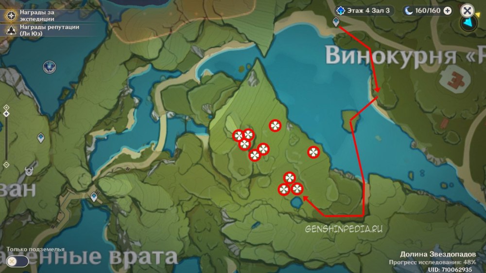 Красивое поле одуванчиков