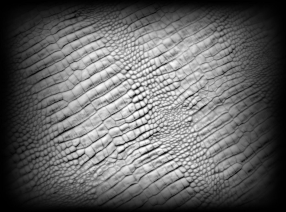 Leather Alpha Zbrush